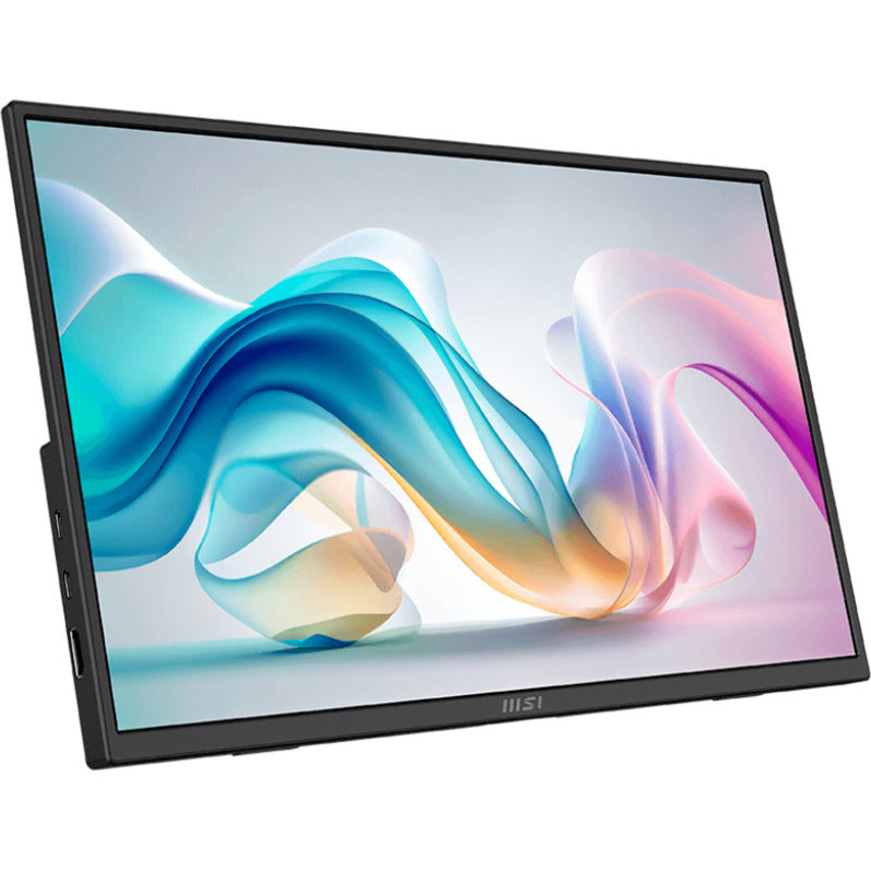 MSI Pro MP165 E6 15,6 Monitor (schwarz, HDMI, 2x USB-C)
