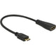 Delock Mini HDMI C> HDMI A.