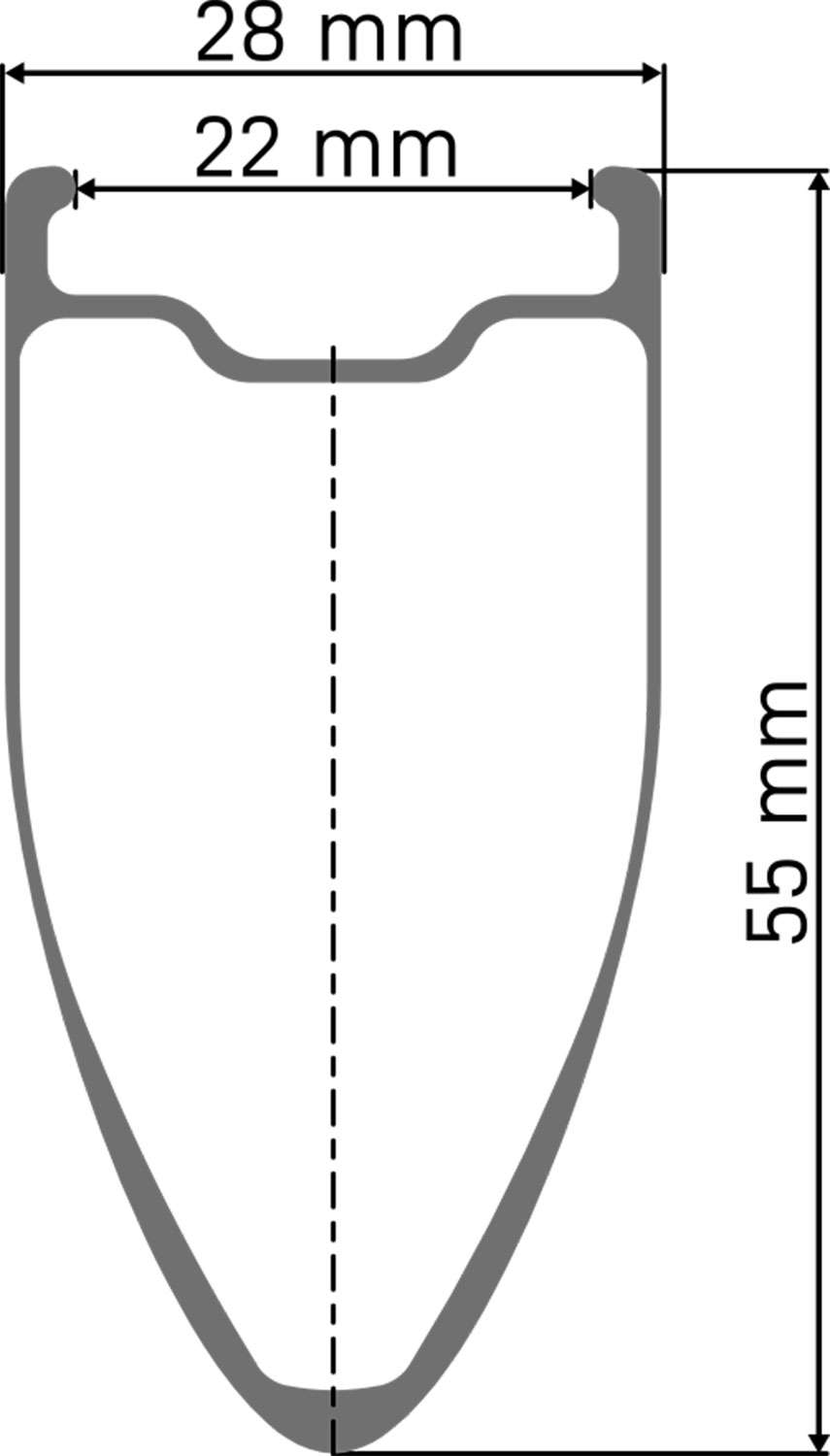 DT Swiss Arc 1100 Dicut® 55 28 Disc Cl Shimano HG Carbon Hinterrad