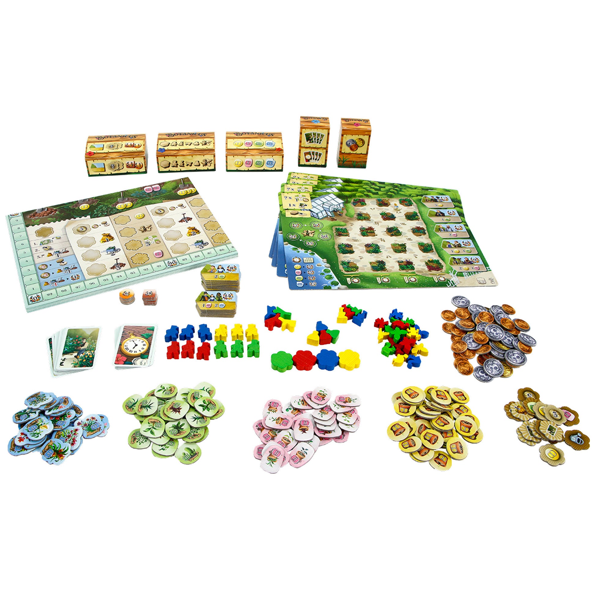 999games 999 Games Botaniker-Brettspiel