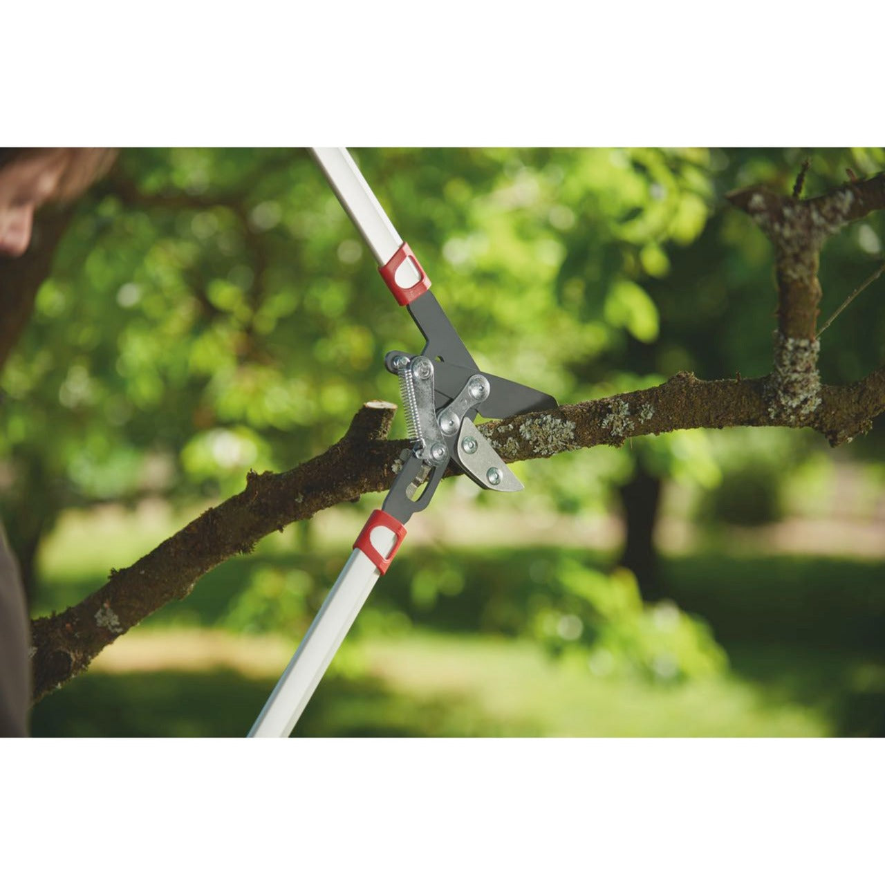 Wolf-Garten-Schnitt Rs 800 V