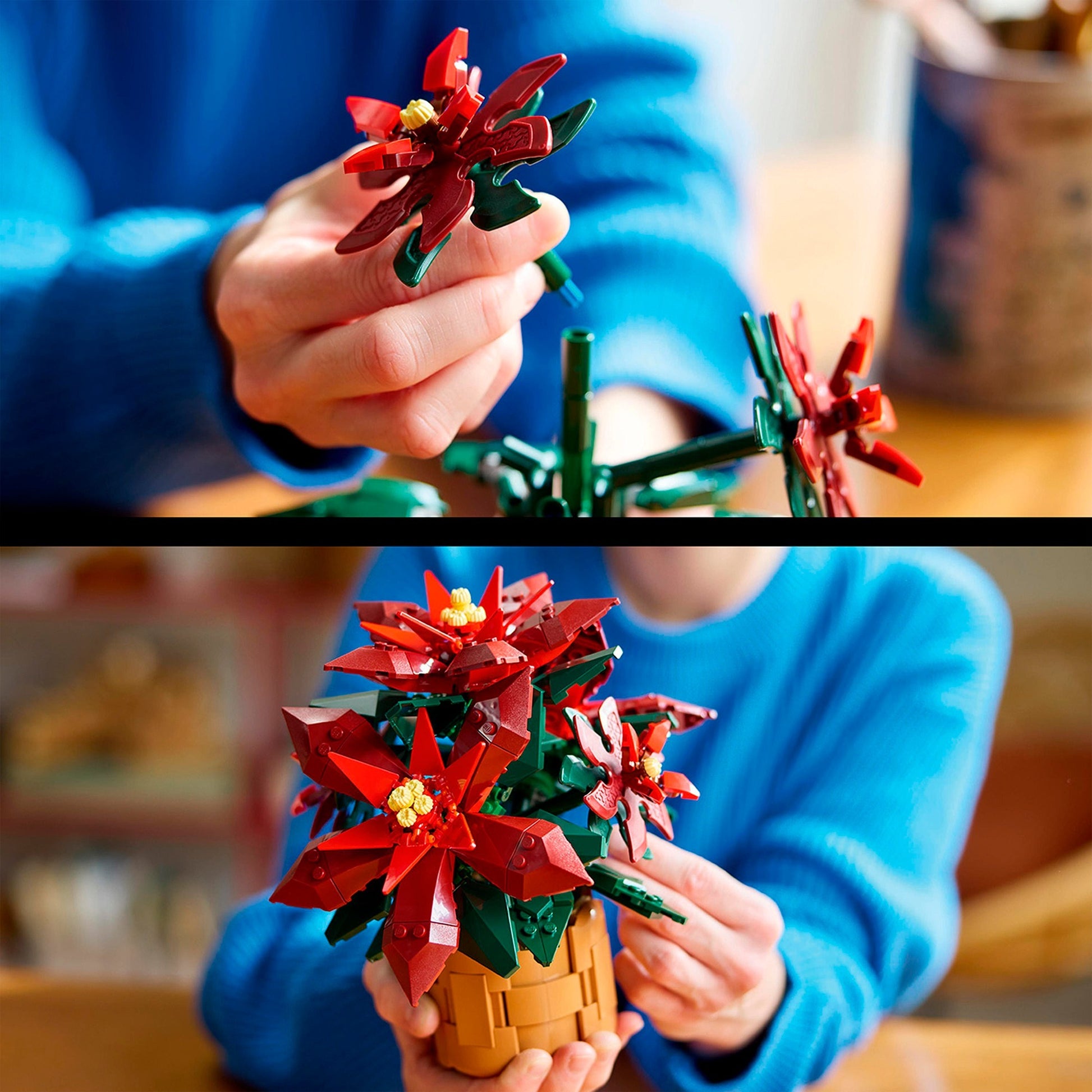 Lego Icons - Bauspielzeug Weihnachtsstern (10370)