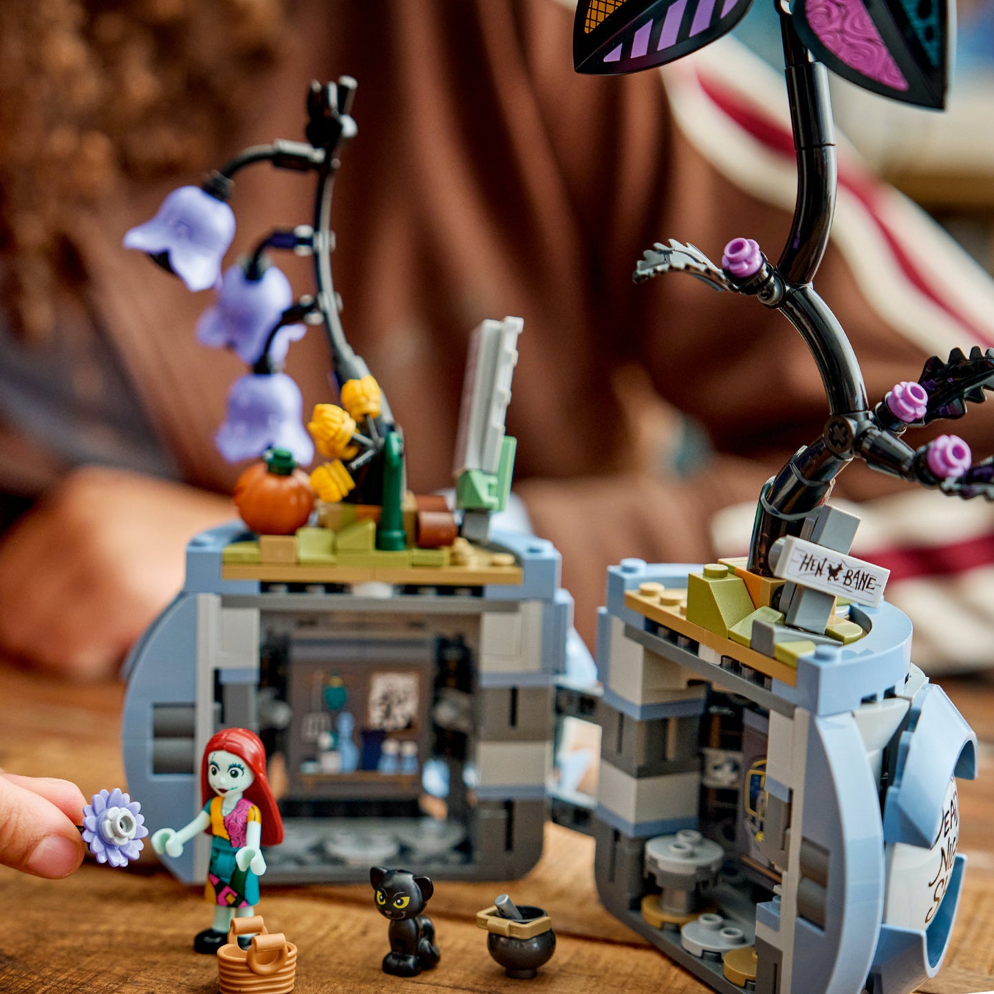 Lego Disney 43288 Sallys Blumentopf
