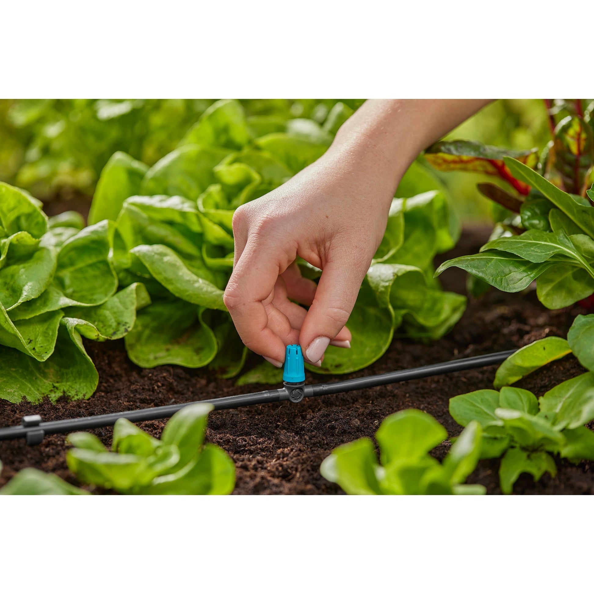Gardena Sprayer für kleine Oberflächen