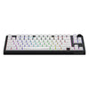 Hator Skyfall Mag Ultra 8K, Gaming-Tastatur (Schwarz, US-Layout, Hator Aurum Ice, 80 % (TKL), RGB, Double-Shot PBT, Hot-Swap)