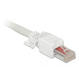 Delock RJ45 Plug Cat.6 UTP Tolfree - afbeelding 1