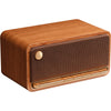 ENTIFIER MP230 Retro Bluetooth -Lautsprecher