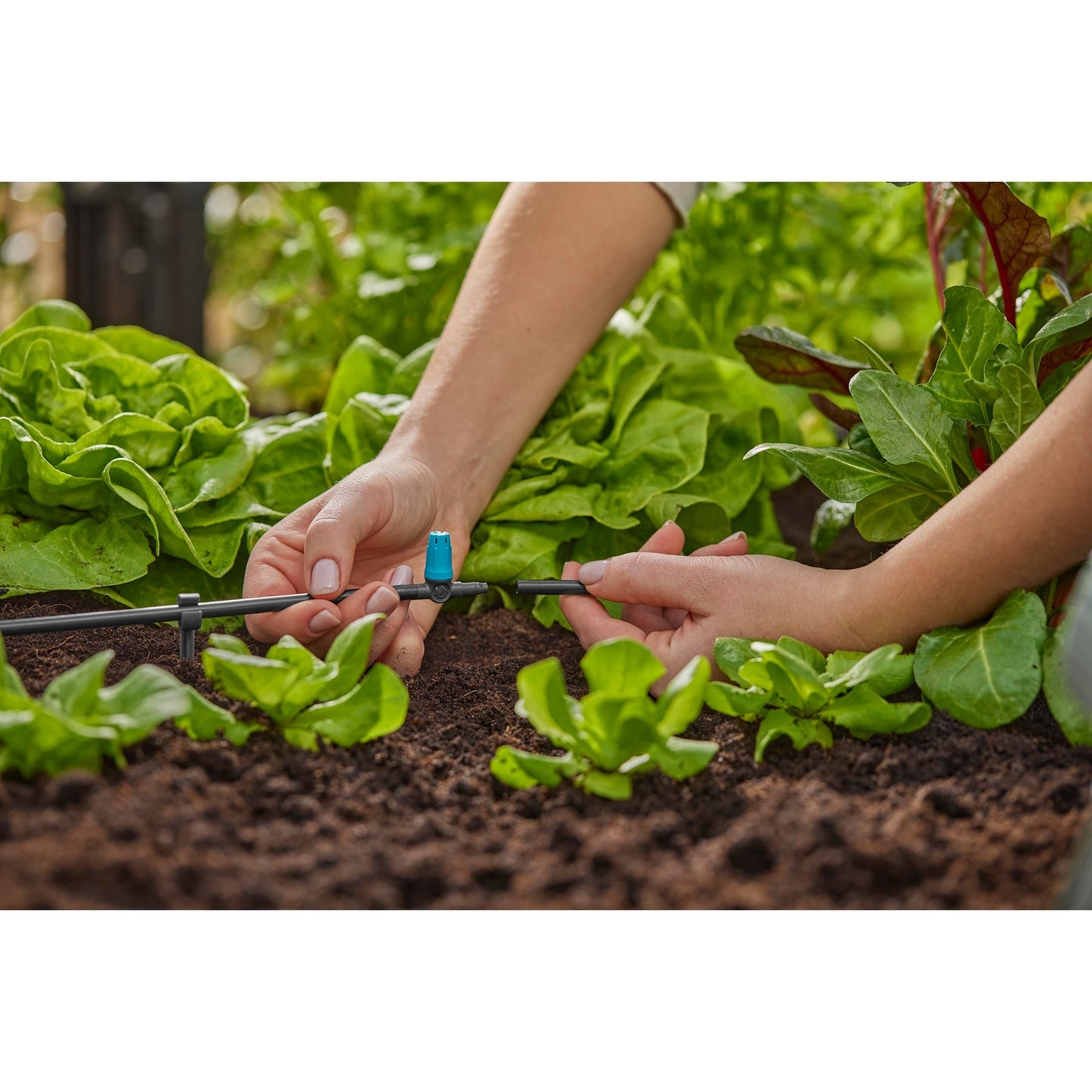 Gardena Sprayer für kleine Oberflächen