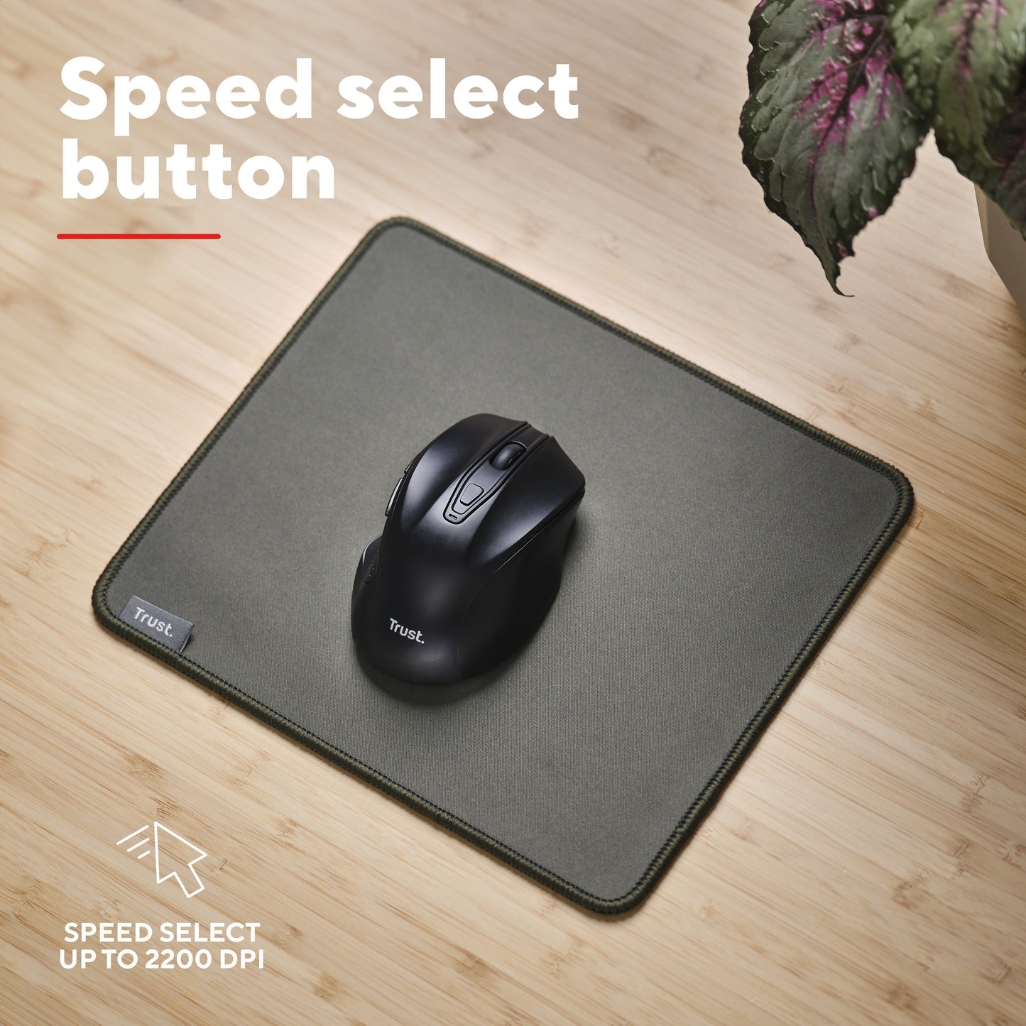 Trust Nito Silent Wireless Mouse (schwarz, 800–2.200 dpi)