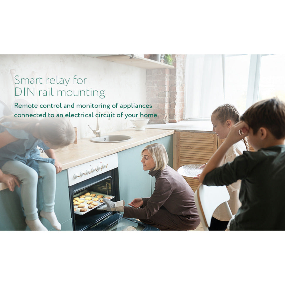 Frient Smart Din Relay Relais (hellgrau, ZigBee)