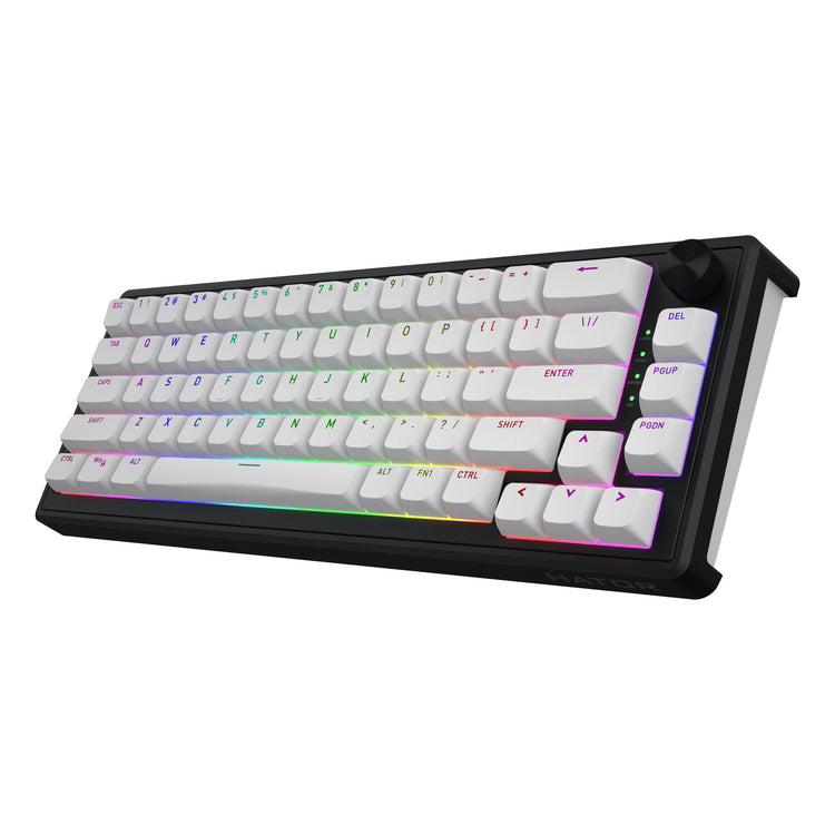 Hator Skyfall Wireless, Gaming-Tastatur (schwarz, US-Layout, Hator Aurum Sterling, 65 %, RGB, Double Shot ABS, Hot-Swap, 2,4 GHz Bluetooth USB-C)