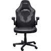 Vertrauen Sie GXT 703 Riye Gaming Chair
