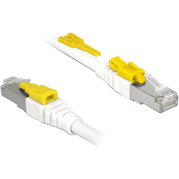 Delock Patch-Kabel RJ-45 mit Cat.6a sicher