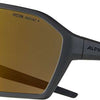 Alpina ram q-lite - Sportbrille