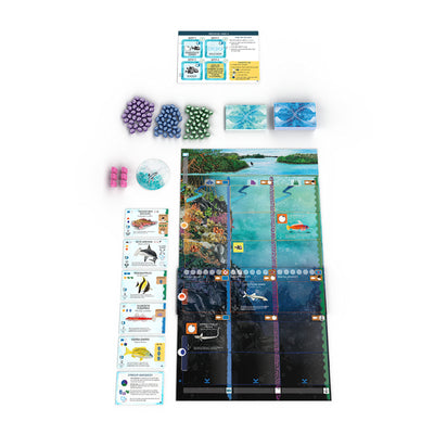 999games 999 Spiele finspan Erweiterung: Haie und Riffe Brettspiel