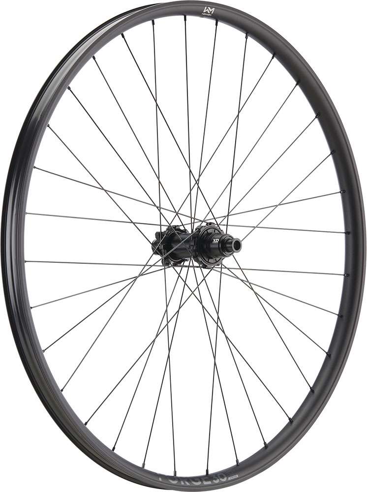 Newmen Forge 30 Dh 29 6-Loch 12x148 Fade Hinterrad