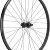 Newmen Forge 30 Dh 29 6-Loch 12x157 Fade Hinterrad