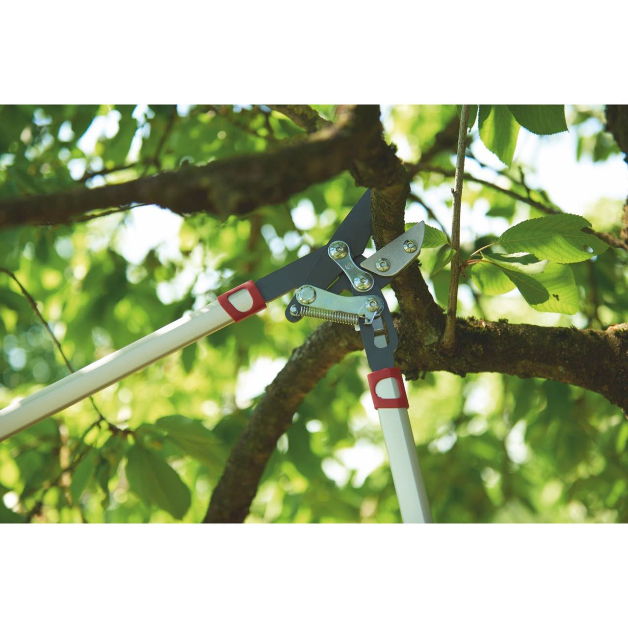 Wolf-Garten-Schnitt Rs 800 V