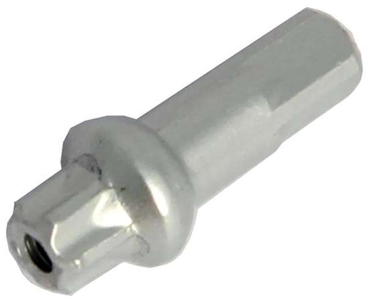 Dt Swiss Squorx Pro Head Messingnippel ø2,0 x 15 mm (100 Stück)