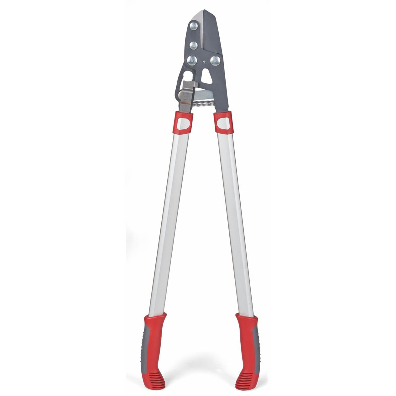 Wolf-Garten-Schnitt Rs 800 V