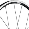 DT Swiss PR 1400 Dicut 21 mm Vorderrad