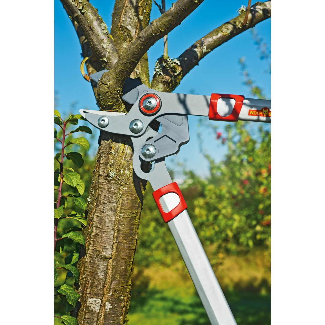 Wolf-Garten-Zweige Basic Plus Power Cut* Rs 650