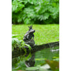 Ubbink Ubbink Spray Figur Frog Queen