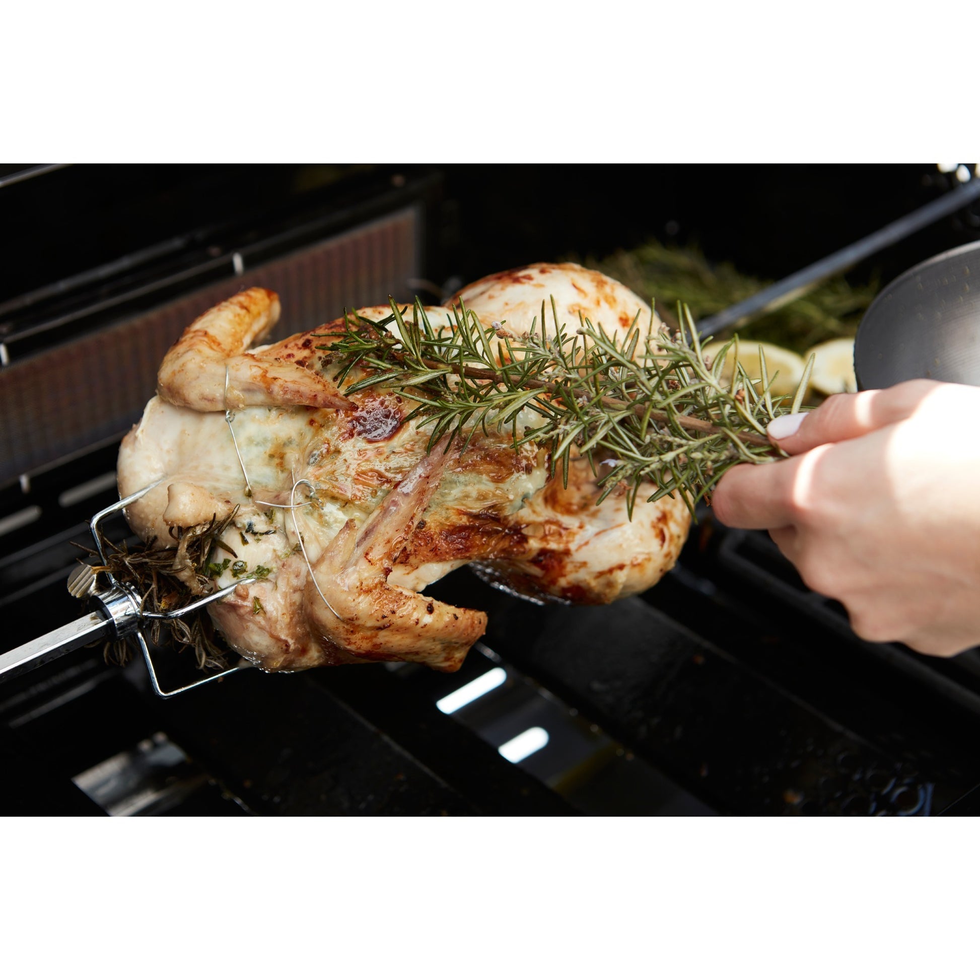 Grillen Sie universelle Wendespucke mit Motor für Magnus und Sies