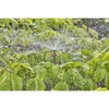 Gardena Sprayer 360 °
