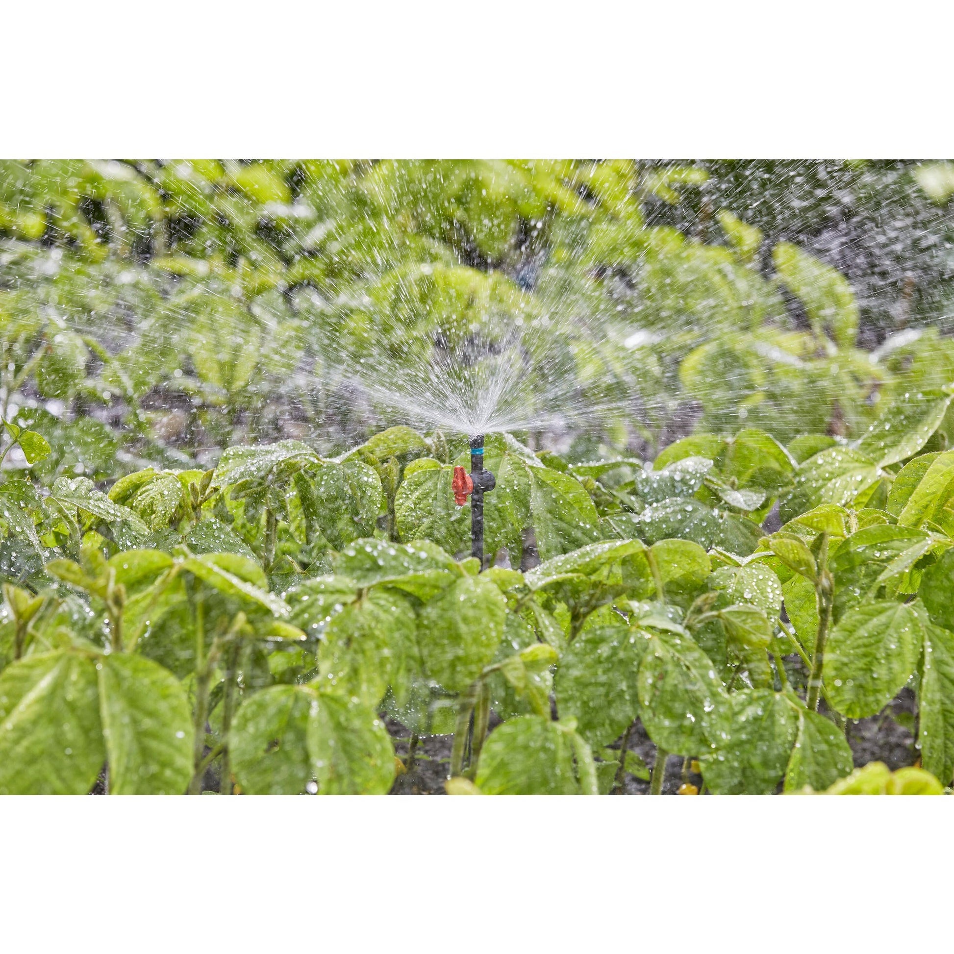 Gardena Sprayer 360 °