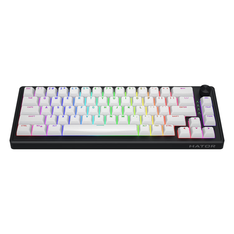Hator Skyfall Mag Ultra 8K, Gaming-Tastatur (Schwarz, US-Layout, Hator Aurum Ice, 65 %, RGB, Double-Shot PBT, Hot-Swap)