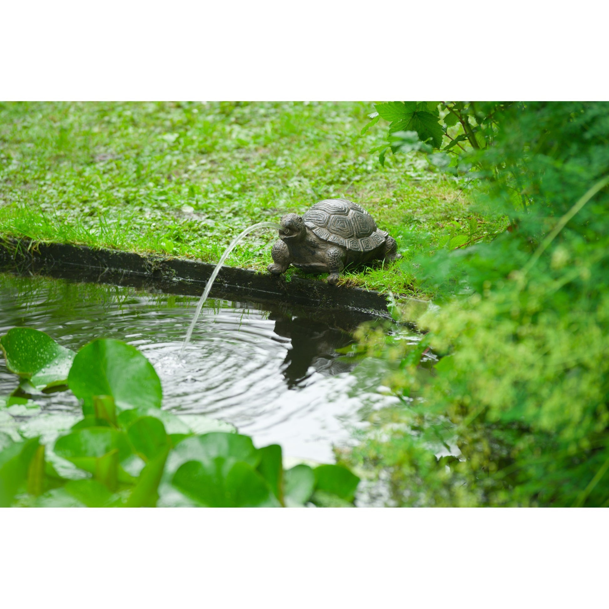 Ubbink Ubbink Spray Figur Turtle