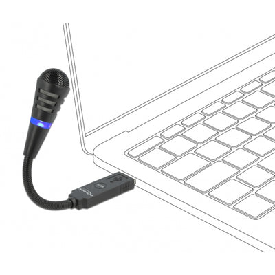 Delock USB Swan Neck -Mikrofon mit Stummschaltknopf