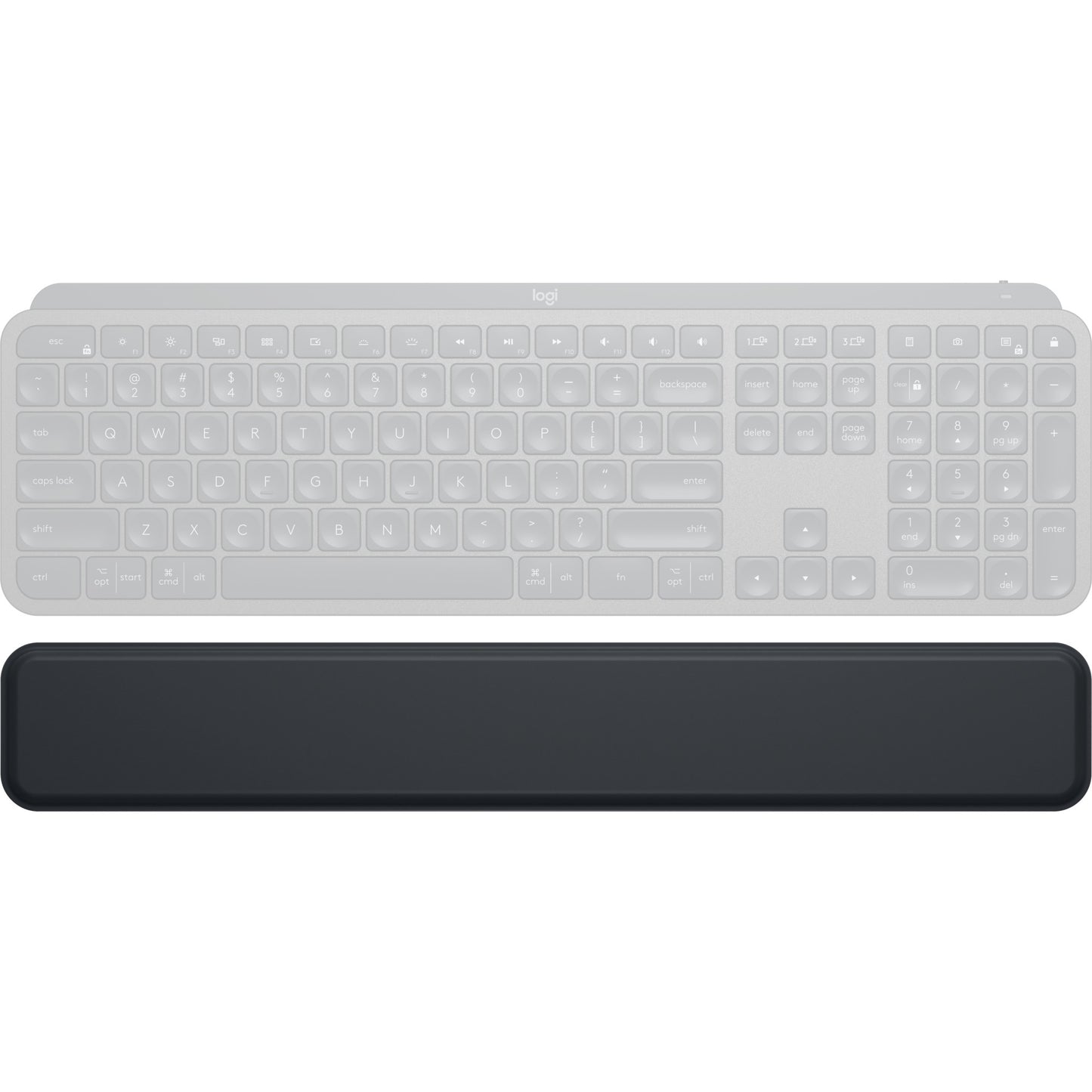 Logitech mx palmenruhe