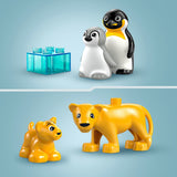Lego Lego Duplo Town 10442 Familien wilder Tiere: Pinguine und Leeuwen - afbeelding 4
