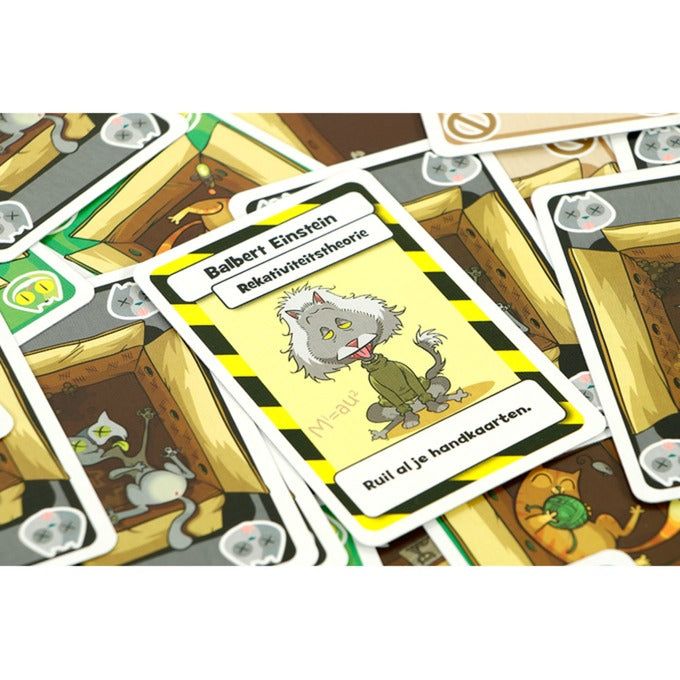 999Games Schrödinger's Katzen
