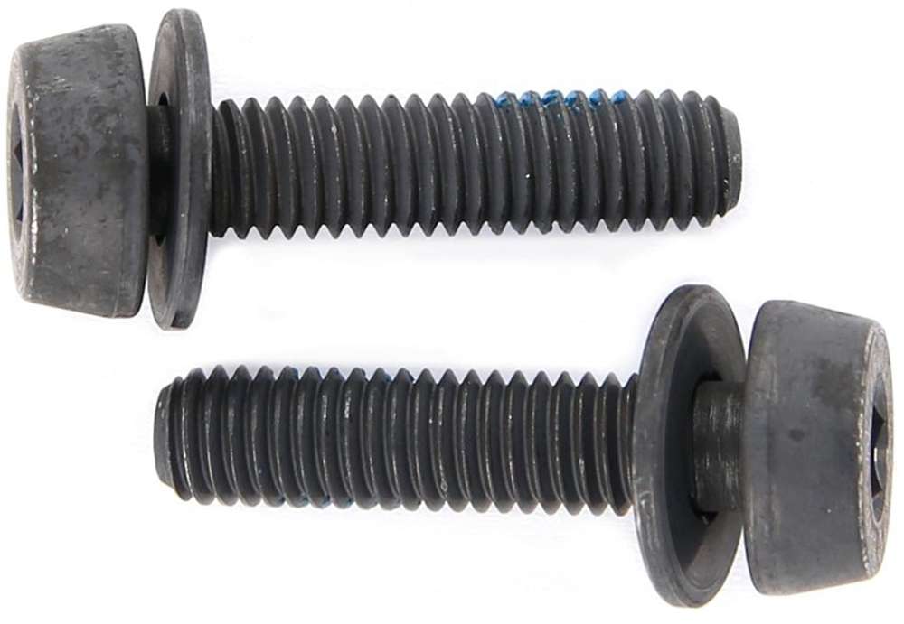 Campagnolo Befestigungsschrauben für Scheibenbremsen (2er Pack)