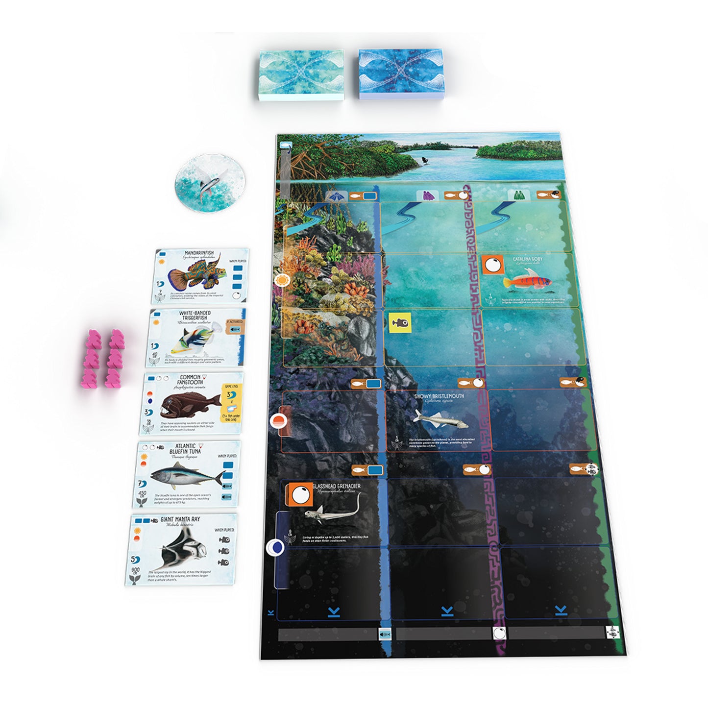 999Gaames 999 Games Finspan Bordspel