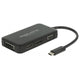 Delock USB-C> VGA HDMI DVI DisplayPort