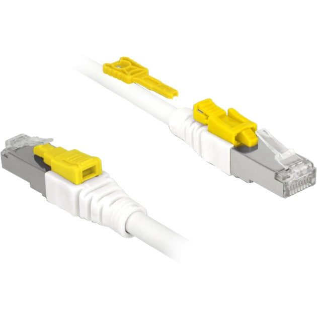 Delock Patch-Kabel RJ-45 mit Cat.6a sicher