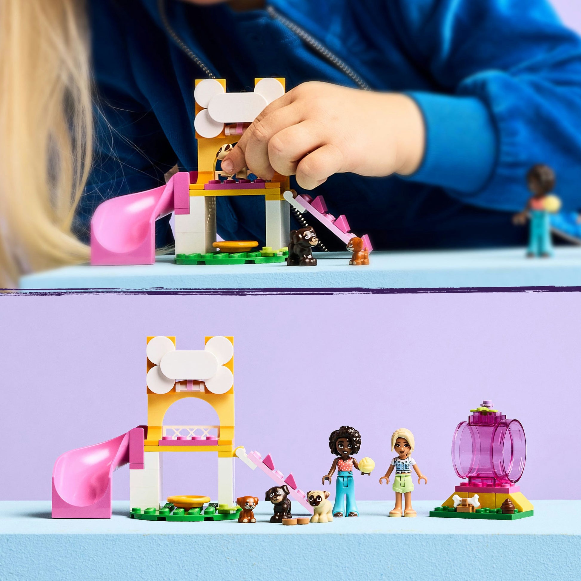 LEGO 42665 Freunde Hundespiel Garten