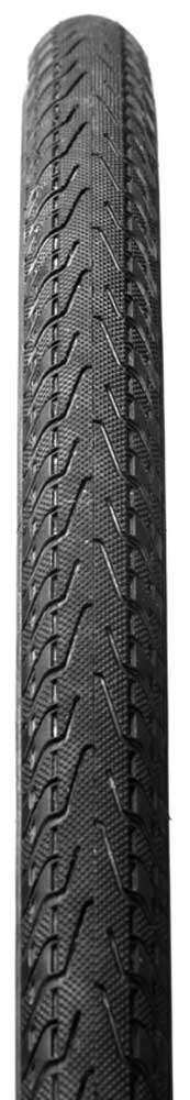 Panaracer Pasela Protite Faltreifen