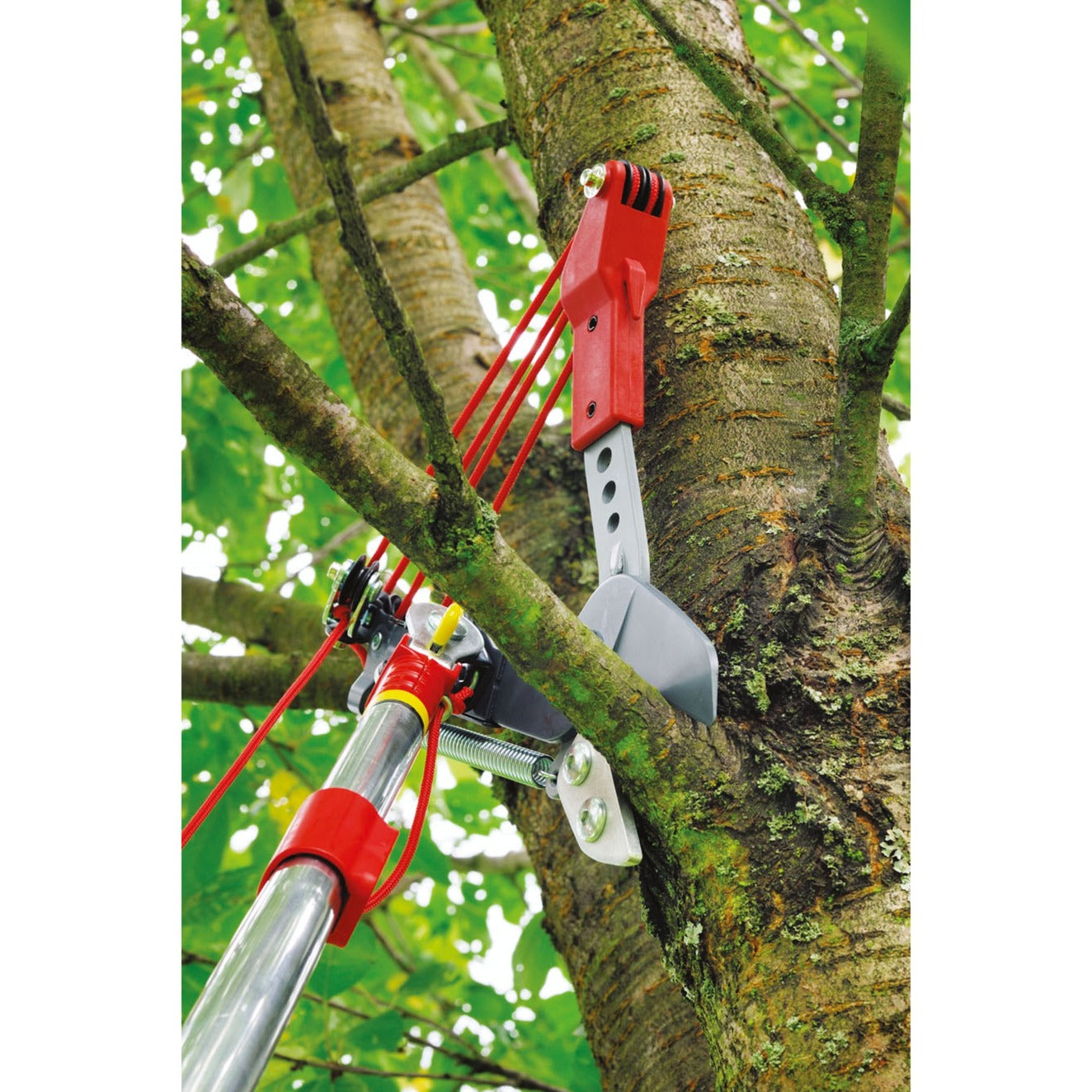 Wolf-Garten-Multi-Sterne-Baumschaar-Vario RC-VM