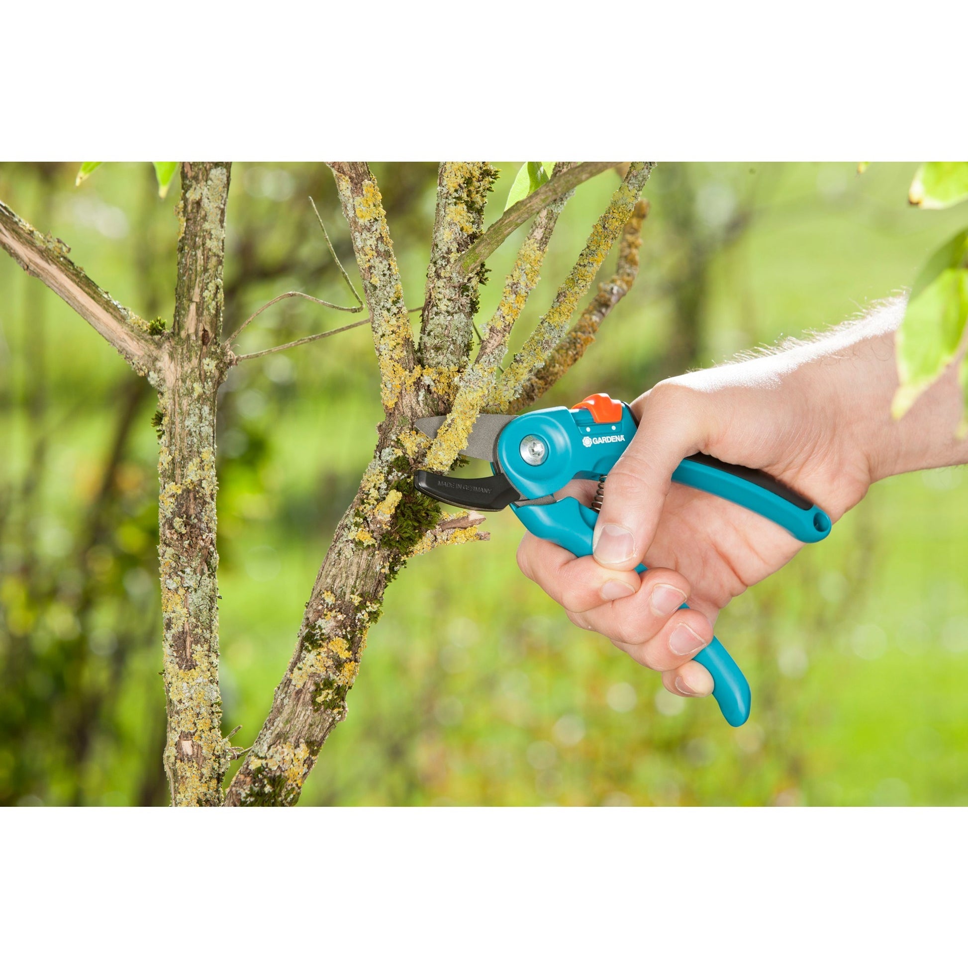 Gardena beschnitten schere und s