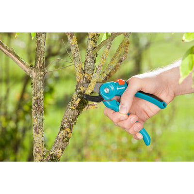 Gardena beschnitten schere und s