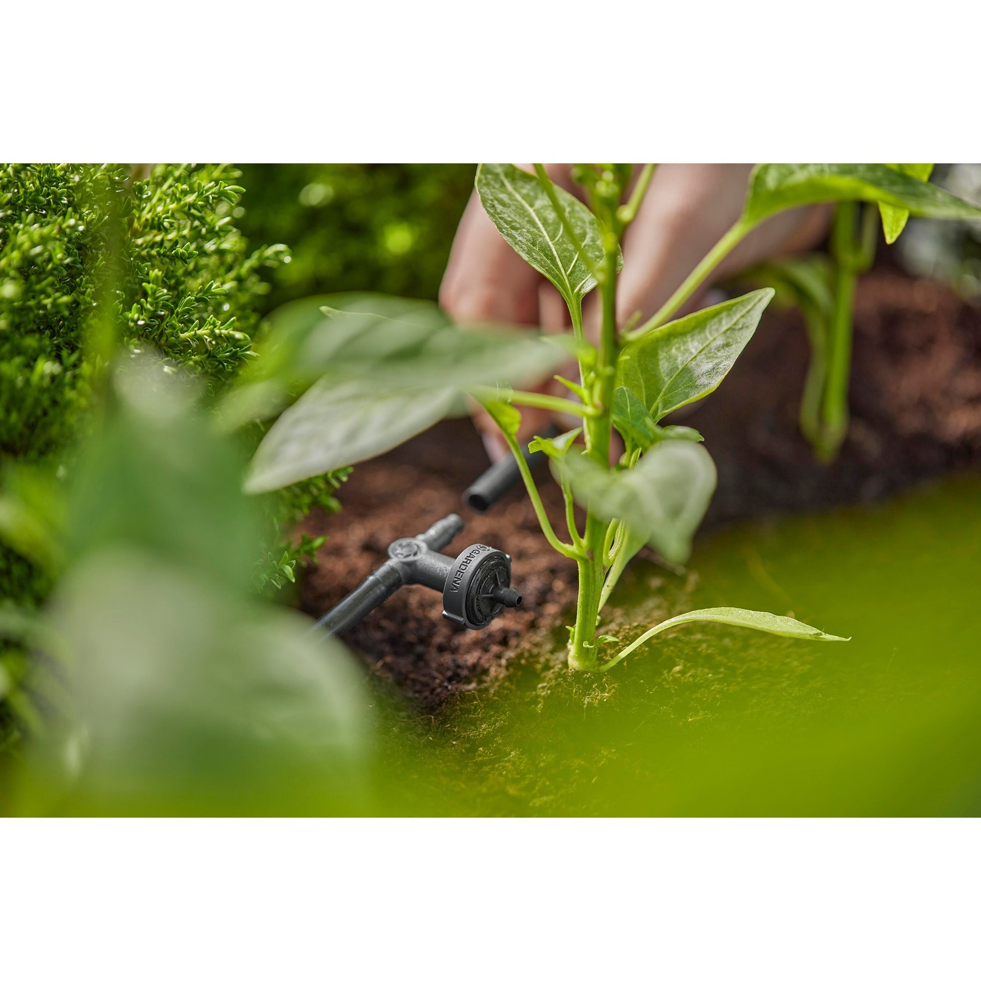 Gardena seriedDreppelaar 2 l u, Druckausgleich