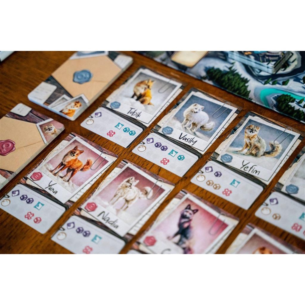 Europäisches Spielernetzwerk Das Fox -Experiment