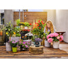 Gardena Aquabloom Water Reservoir Set
