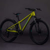 Cube Acid 240 Disc Fe Lizard'n'Blue