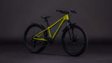 Cube Acid 240 Disc Fe Lizard'n'Blue - afbeelding 2